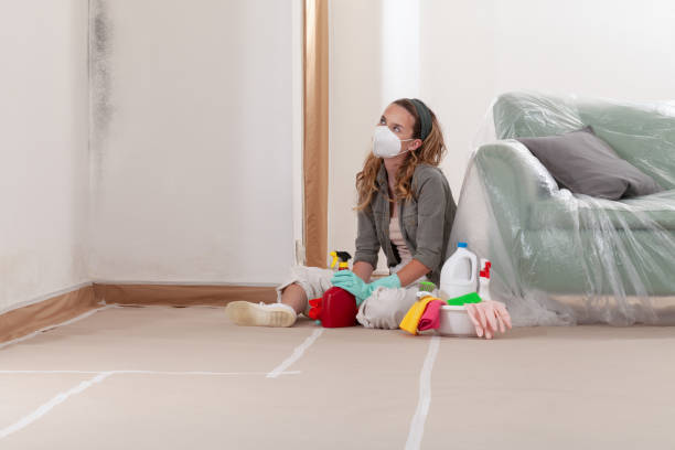 Reliable Mold Inspection contractor in Hathorne, MA by WQB Mold Removal